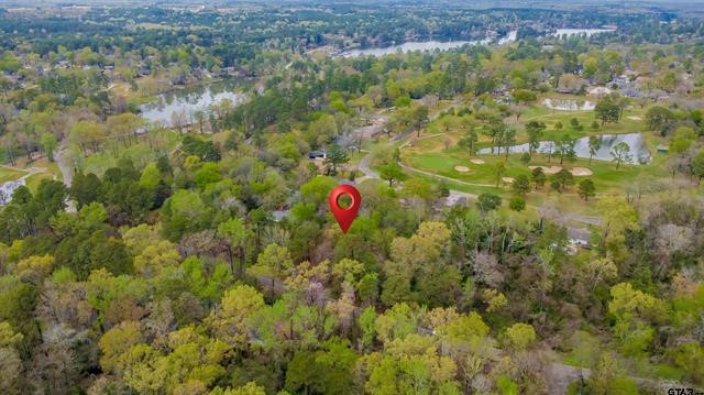 161 Fairway Drive E Hideaway TX 75771