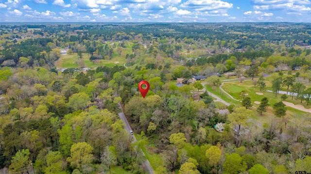 161 Fairway Drive E Hideaway TX 75771