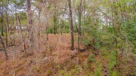 161 Fairway Drive E Hideaway TX 75771