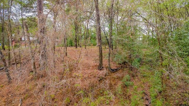 161 Fairway Drive E Hideaway TX 75771