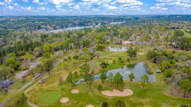 161 Fairway Drive E Hideaway TX 75771