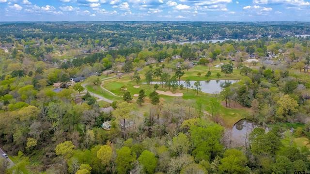 161 Fairway Drive E Hideaway TX 75771