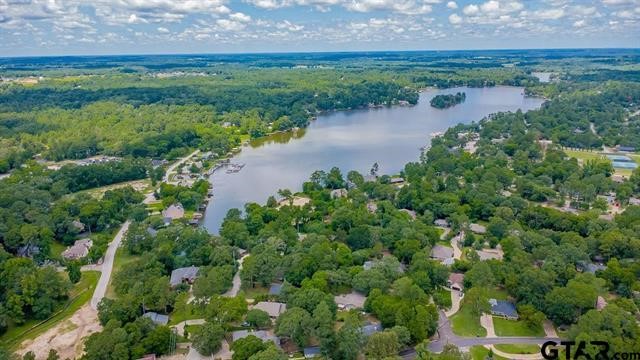 161 Fairway Drive E Hideaway TX 75771