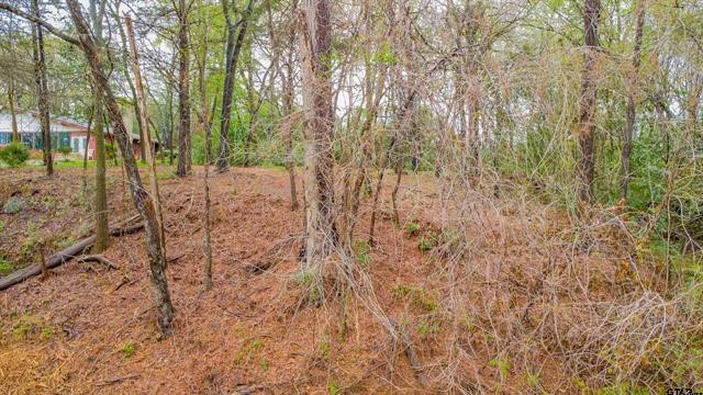161 Fairway Drive E Hideaway TX 75771