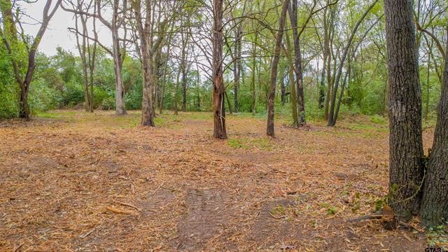 161 Fairway Drive E Hideaway TX 75771