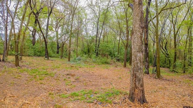 161 Fairway Drive E Hideaway TX 75771