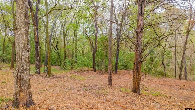 161 Fairway Drive E Hideaway TX 75771