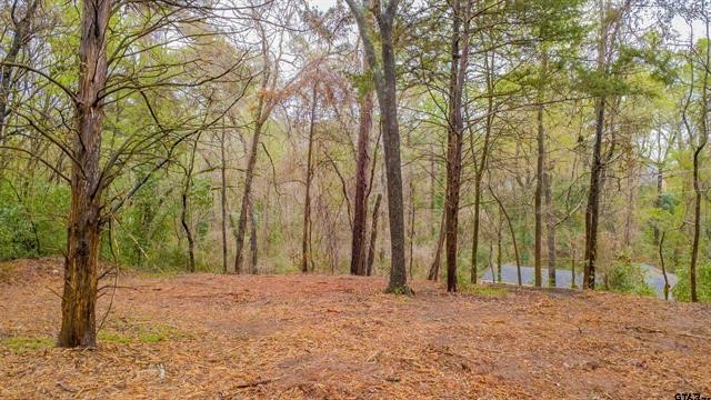161 Fairway Drive E Hideaway TX 75771
