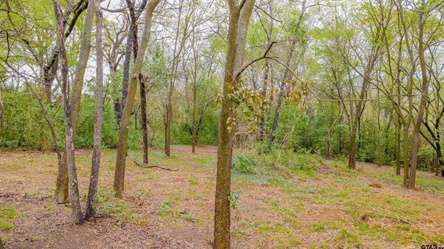 161 Fairway Drive E Hideaway TX 75771