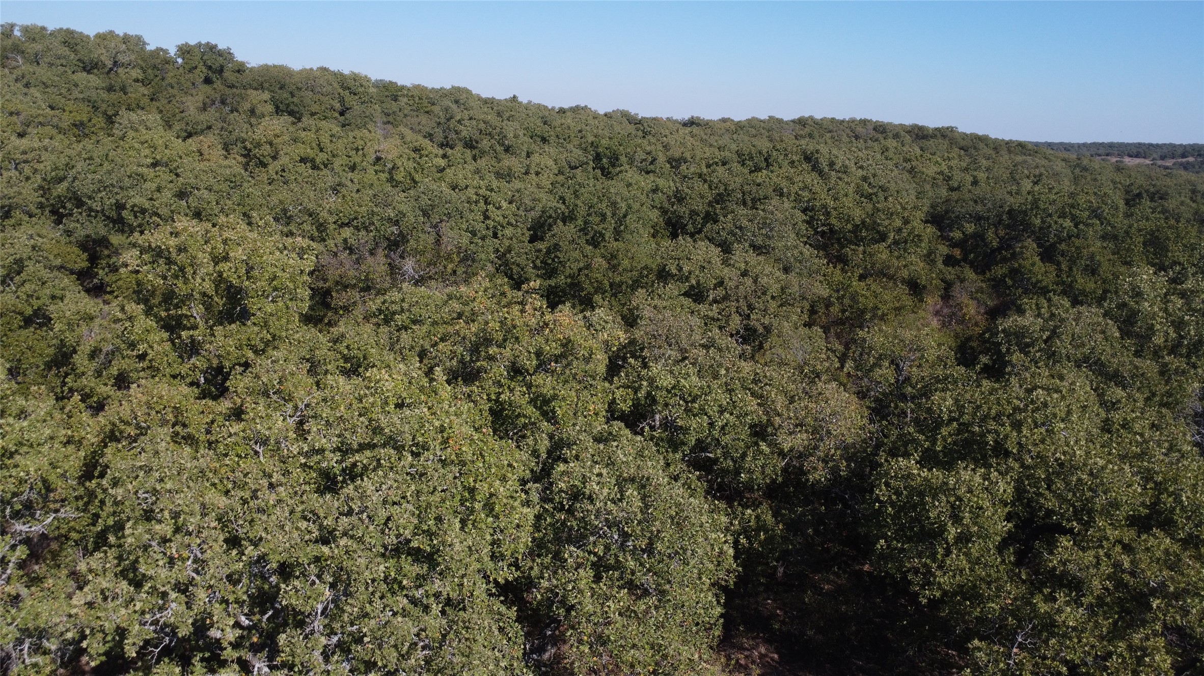 0000 Highway 16 N Graham TX 76450