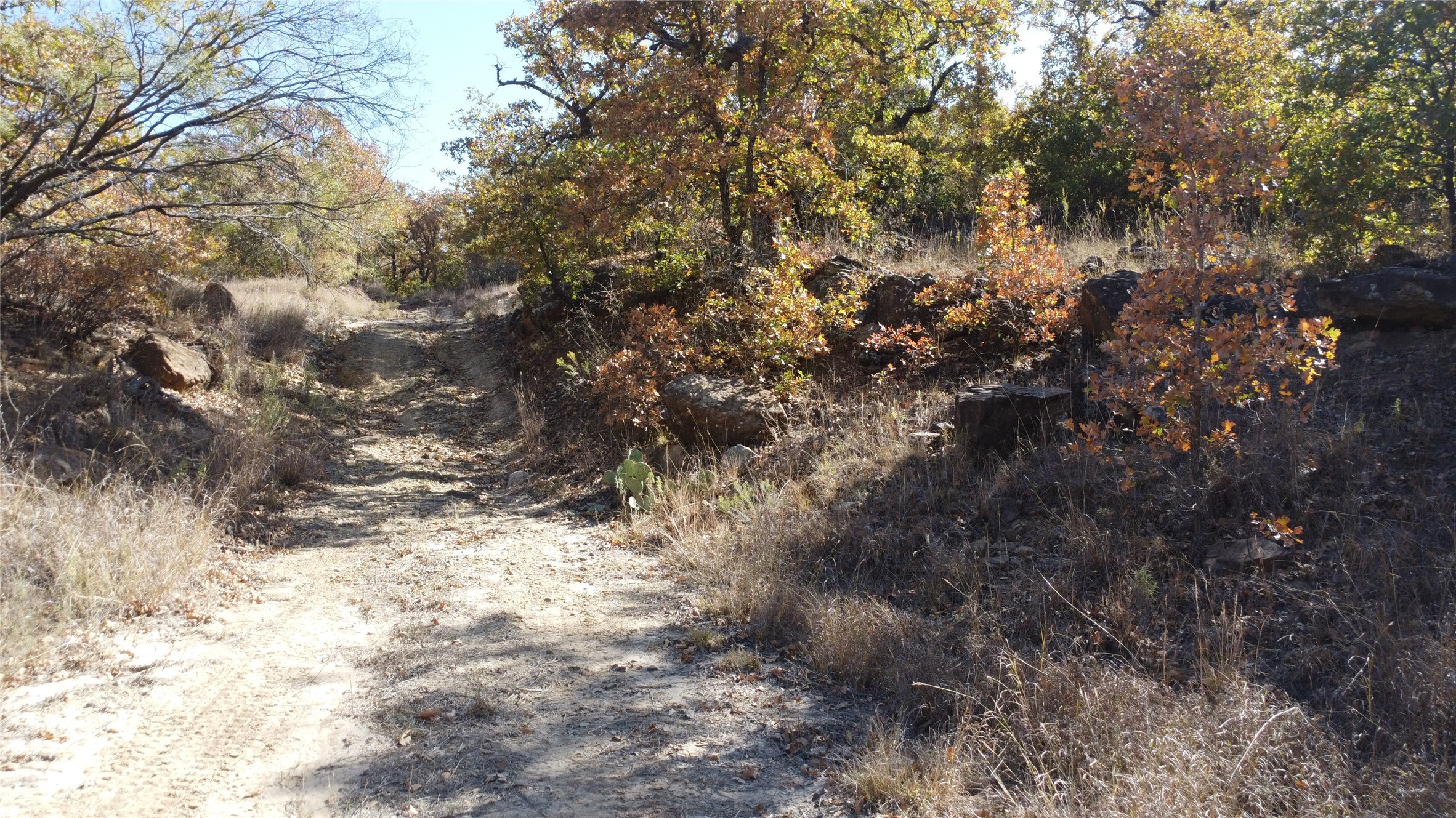 0000 Highway 16 N Graham TX 76450