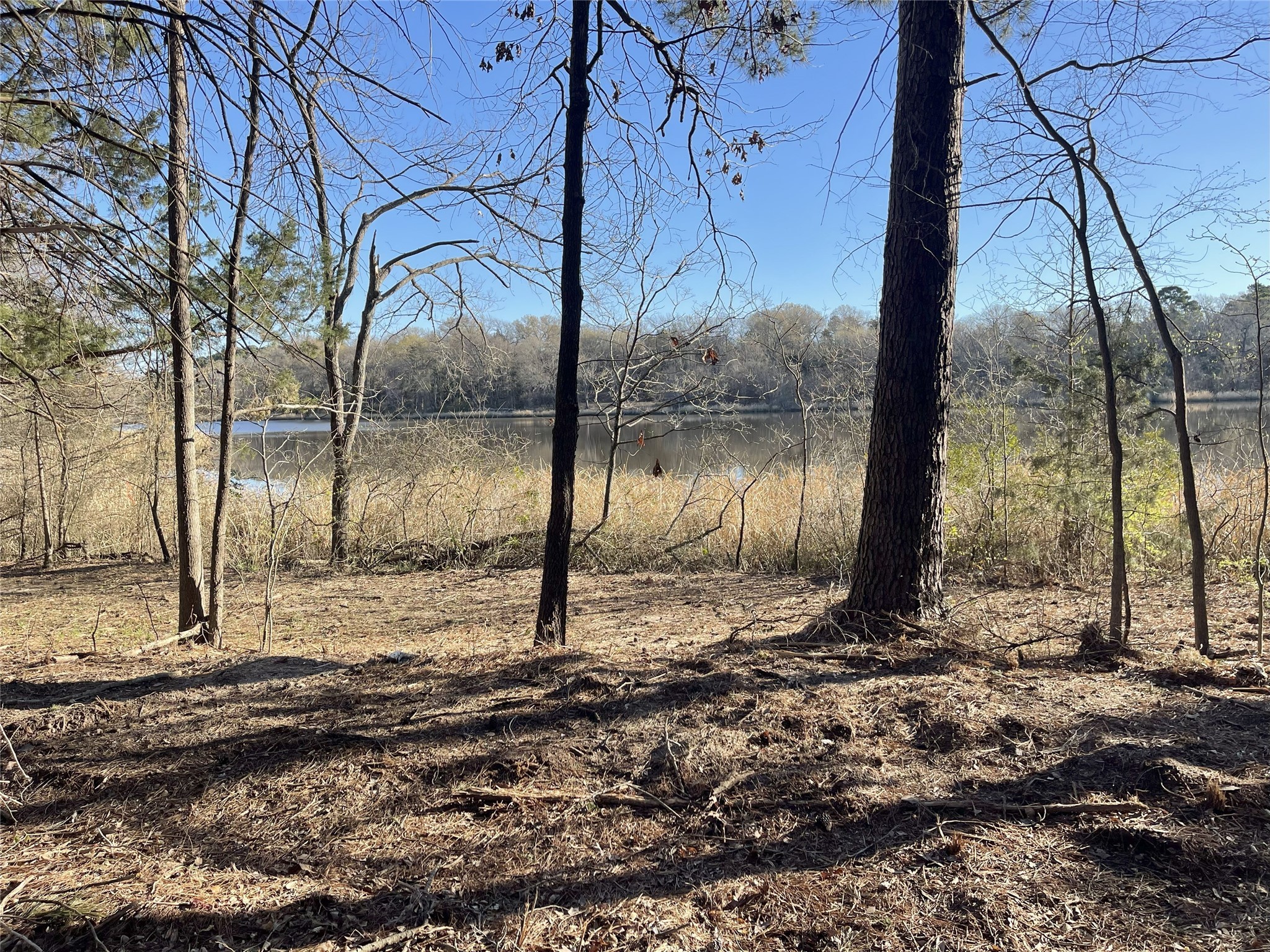 Tbd Lot 5 County Road 2200 Mineola TX 75773