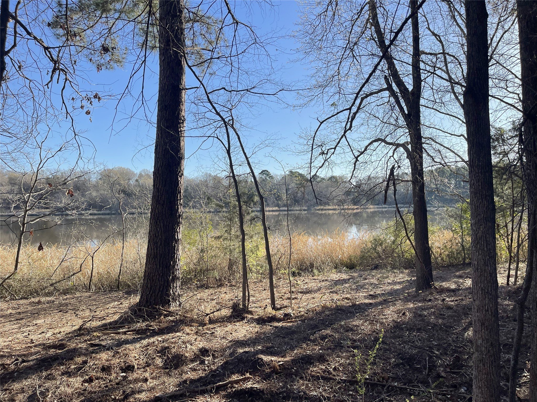 Tbd Lot 5 County Road 2200 Mineola TX 75773