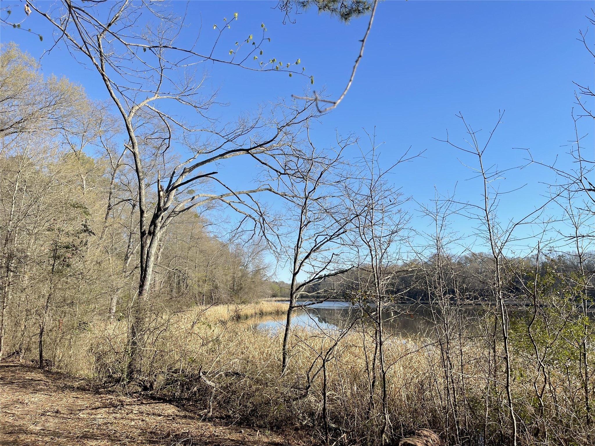 Tbd Lot 5 County Road 2200 Mineola TX 75773