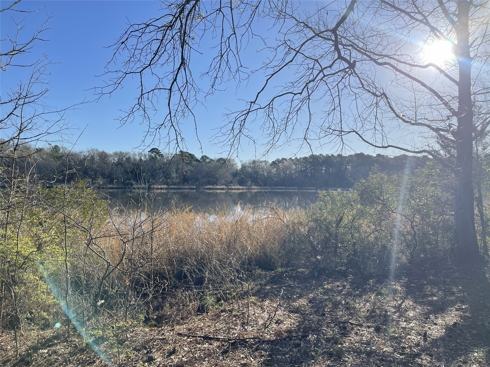 Tbd Lot 5 County Road 2200 Mineola TX 75773
