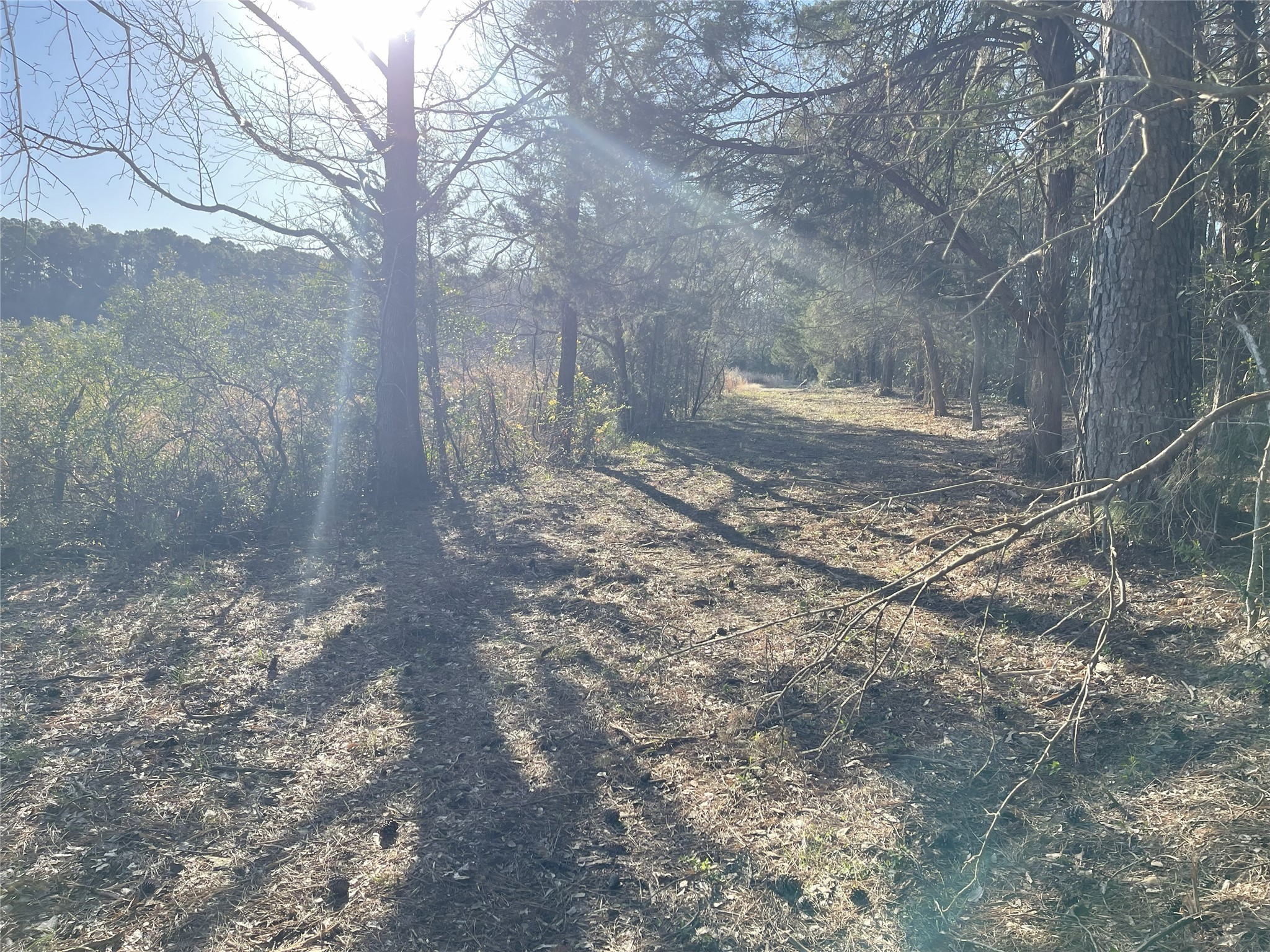 Tbd Lot 5 County Road 2200 Mineola TX 75773