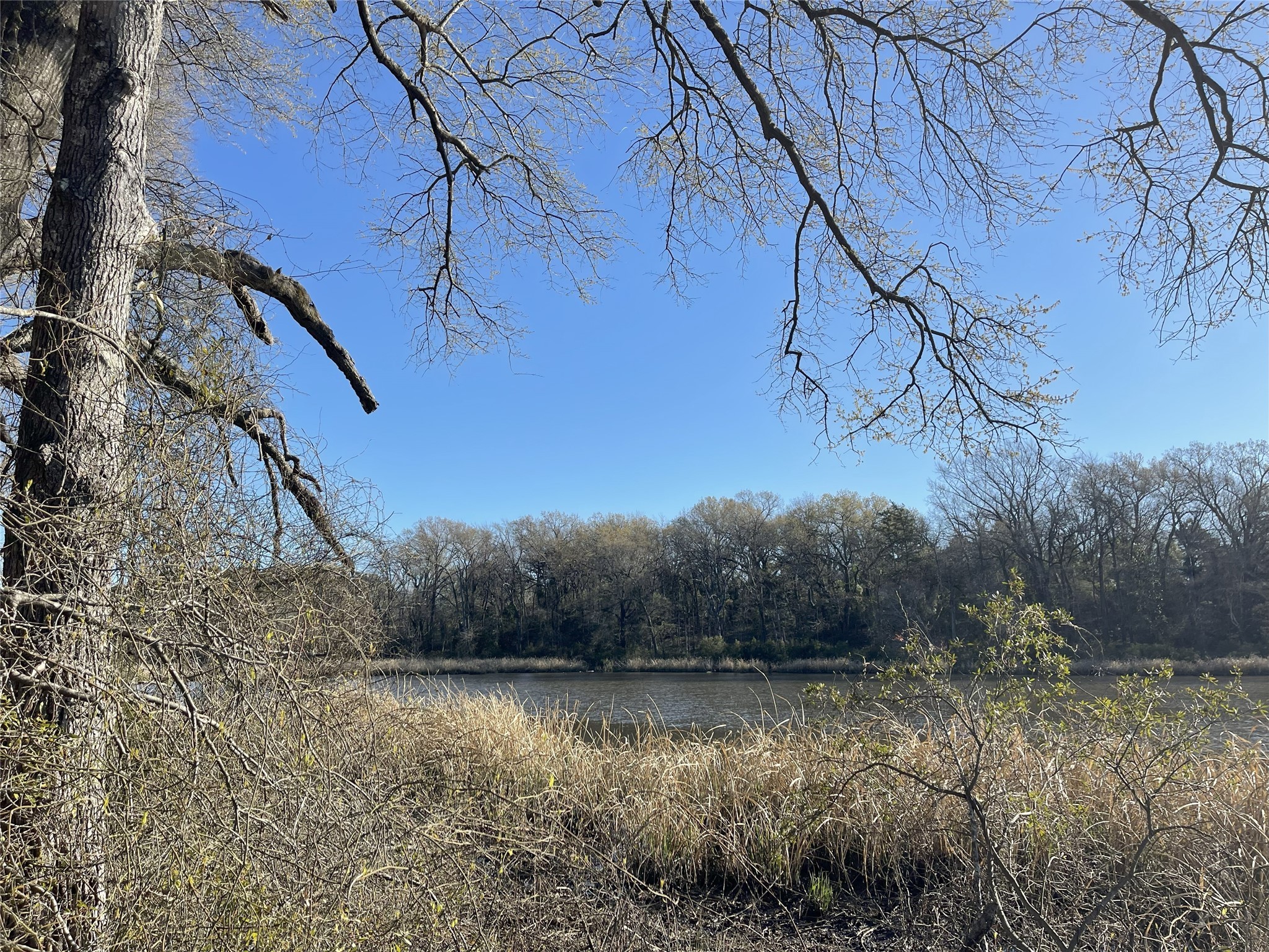 Tbd Lot 5 County Road 2200 Mineola TX 75773