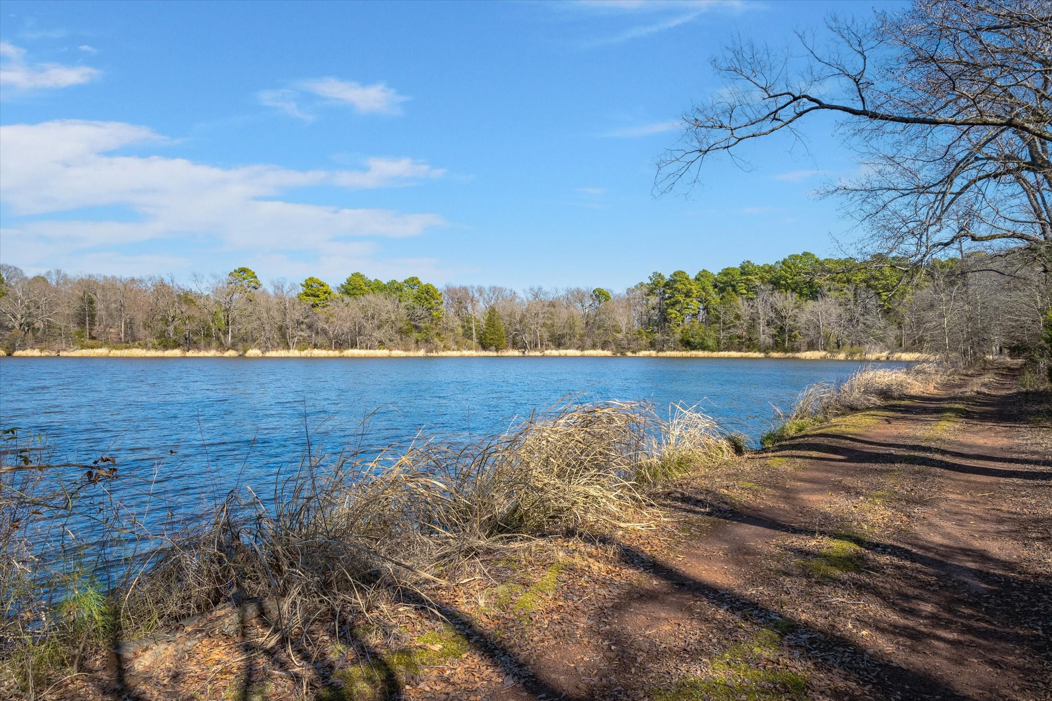 Tbd Lot 5 County Road 2200 Mineola TX 75773