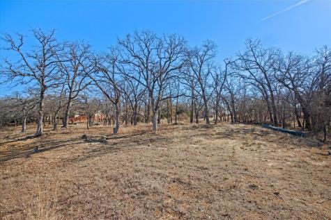 18 Royal Oaks Boulevard Hickory Creek TX 75065