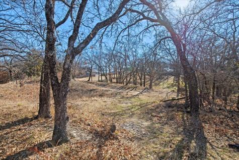 18 Royal Oaks Boulevard Hickory Creek TX 75065