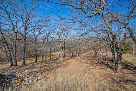 18 Royal Oaks Boulevard Hickory Creek TX 75065