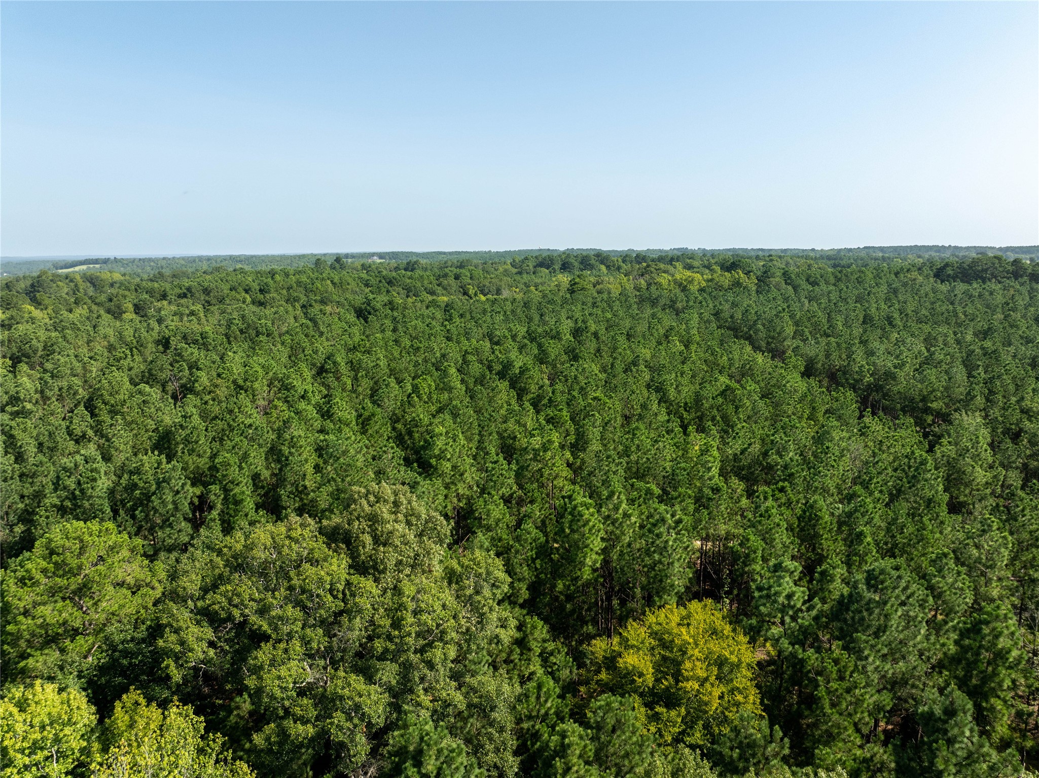 Tract 3 County Road 1713 Jacksonville TX 75766