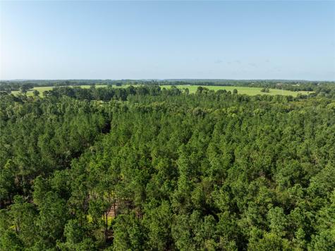 Tract 3 County Road 1713 Jacksonville TX 75766
