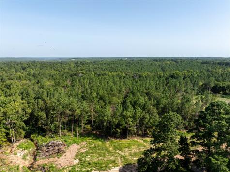 Tract 3 County Road 1713 Jacksonville TX 75766