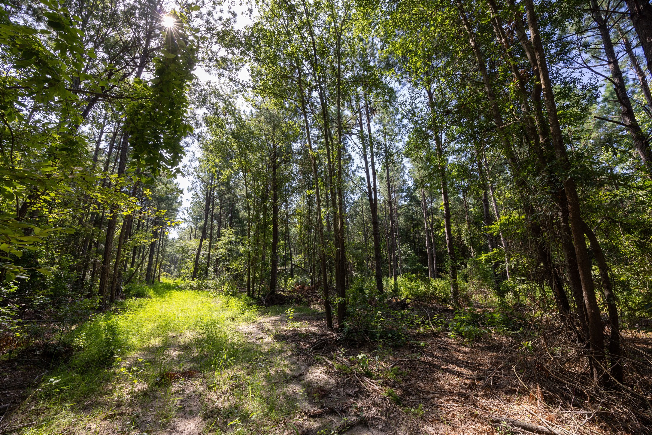 Tract 3 County Road 1713 Jacksonville TX 75766