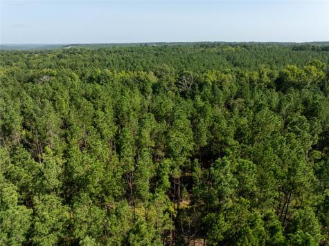 Tract 3 County Road 1713 Jacksonville TX 75766