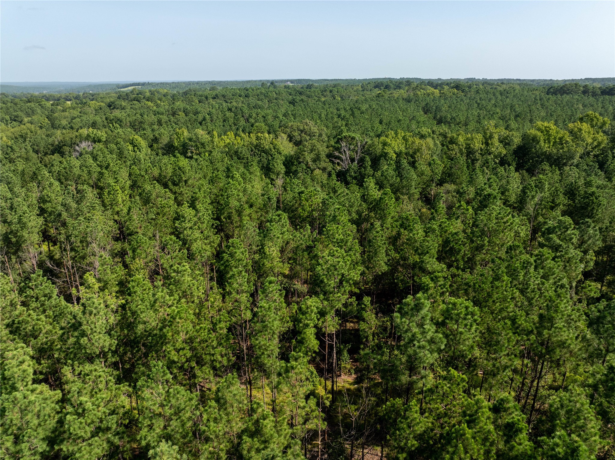 Tract 3 County Road 1713 Jacksonville TX 75766