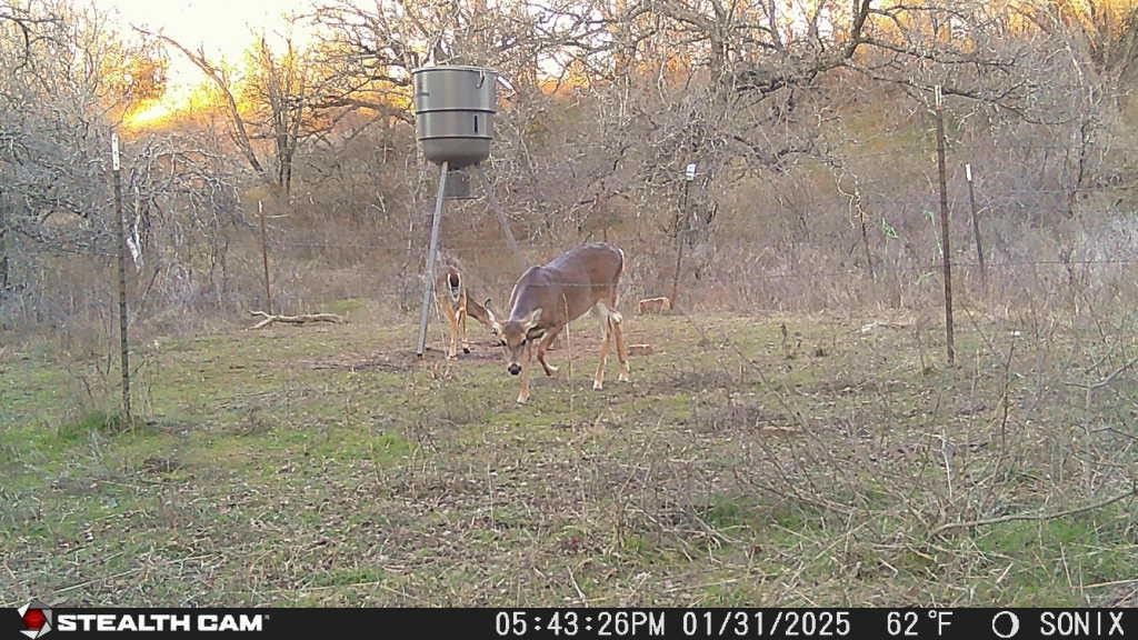 Not Addressed Yet Slusher Road Jacksboro TX 76458
