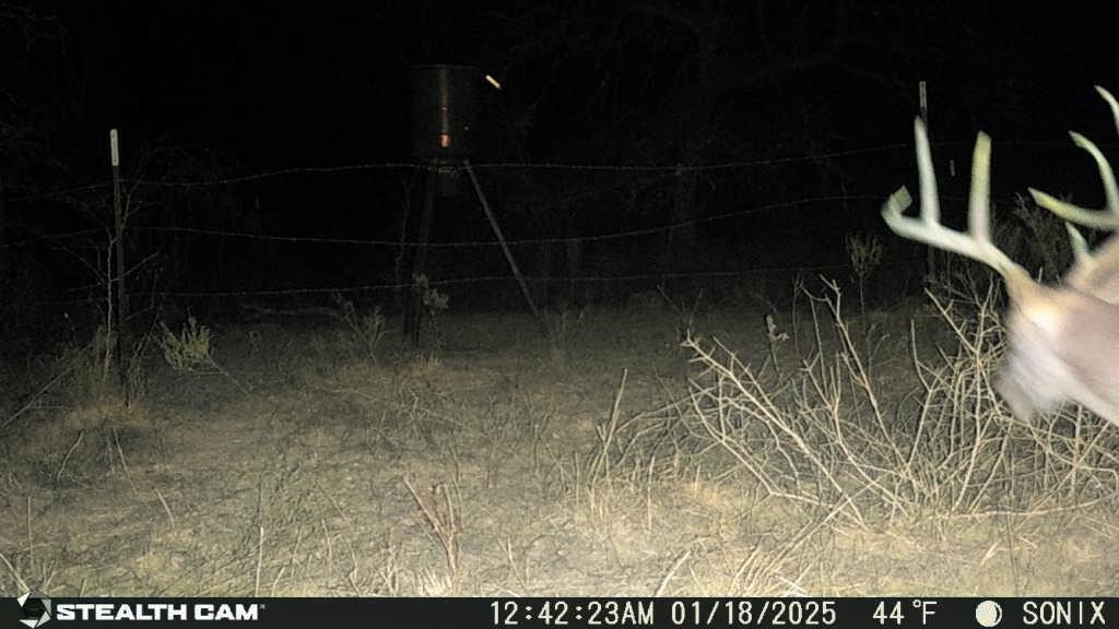 Not Addressed Yet Slusher Road Jacksboro TX 76458
