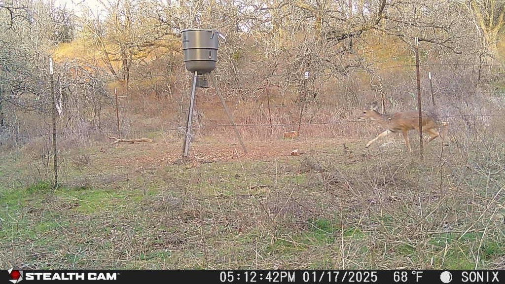Not Addressed Yet Slusher Road Jacksboro TX 76458