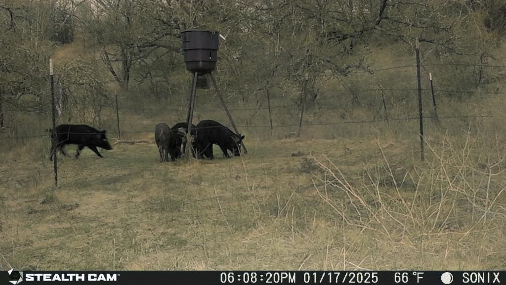 Not Addressed Yet Slusher Road Jacksboro TX 76458