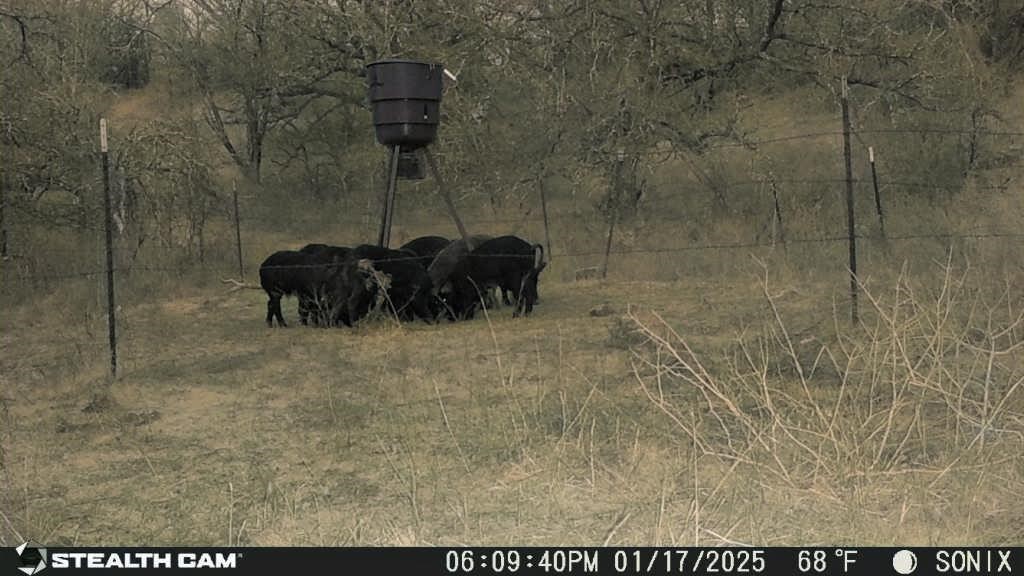 Not Addressed Yet Slusher Road Jacksboro TX 76458