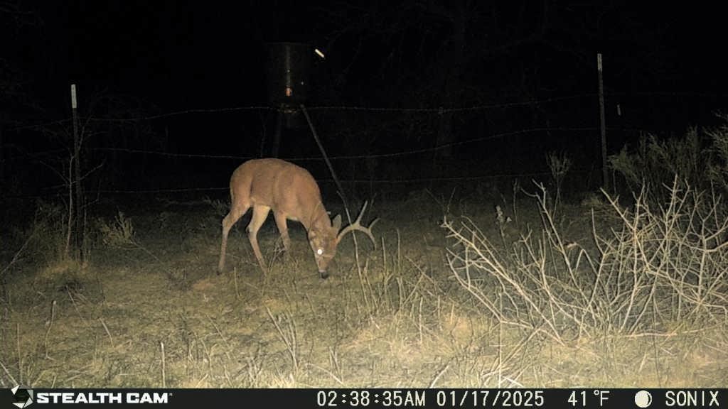 Not Addressed Yet Slusher Road Jacksboro TX 76458