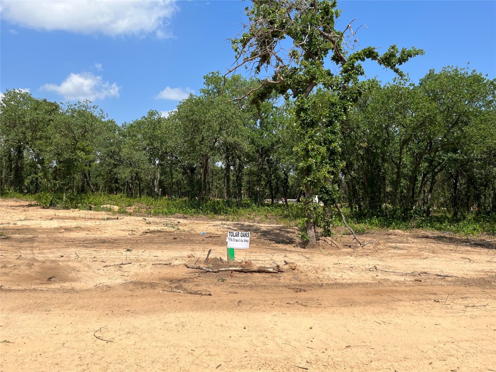 448 Peace Lily Way Tolar TX 76476