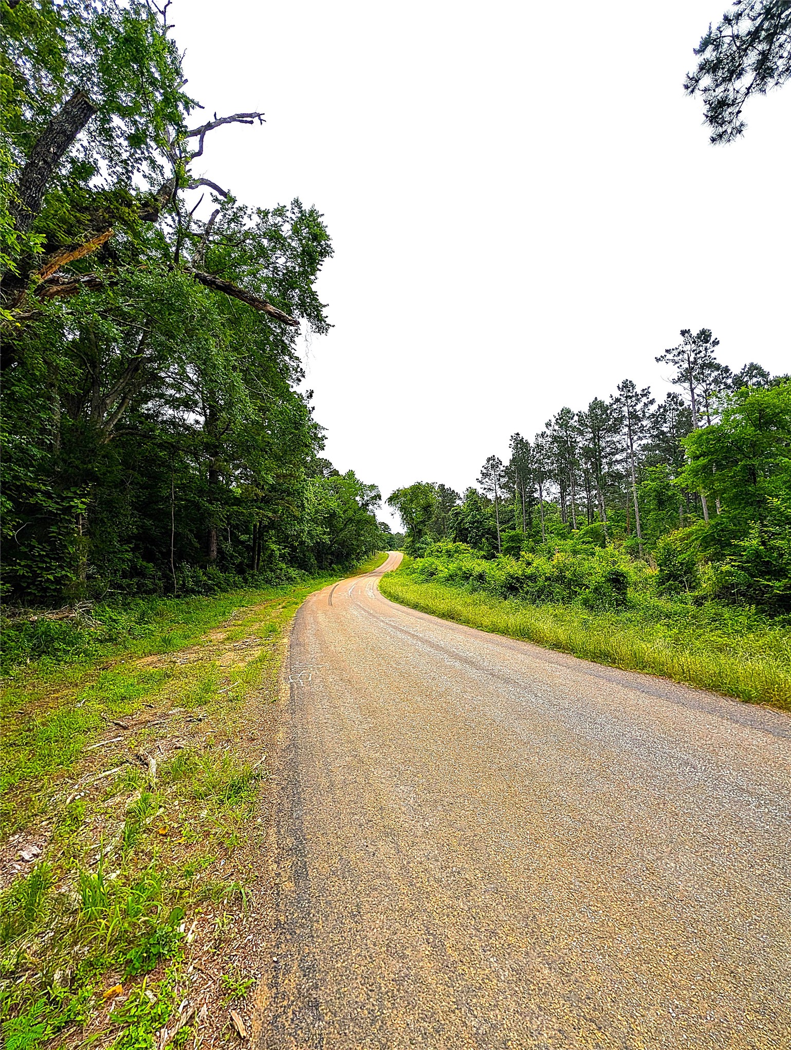 1931 County Road 4101 Jacksonville TX 75766