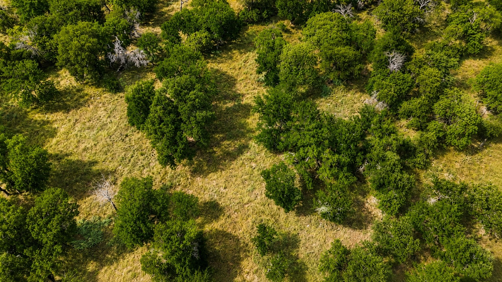 274 Ridgeline Drive Chico TX 76431