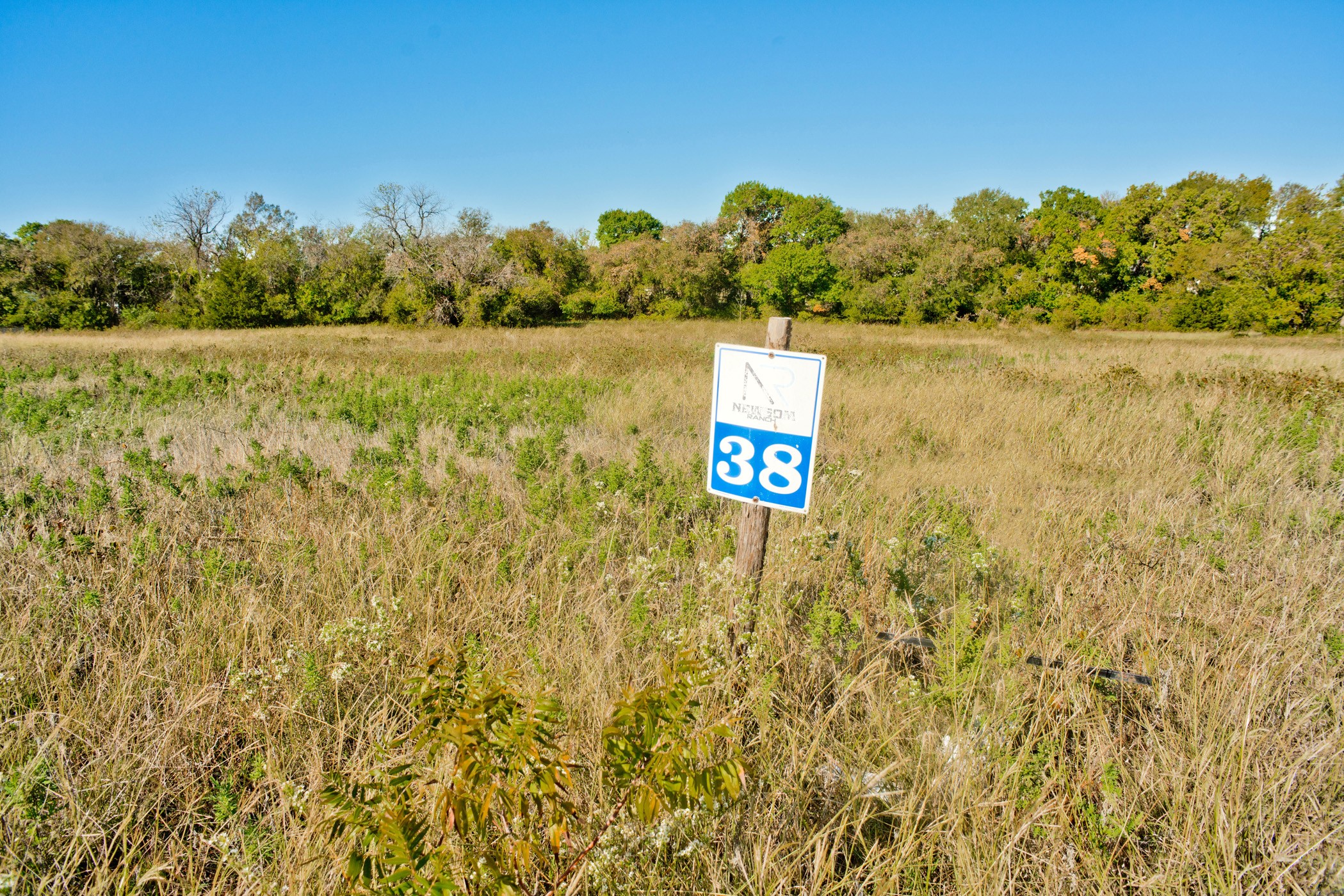 3004 Cottonfield Azle TX 76020
