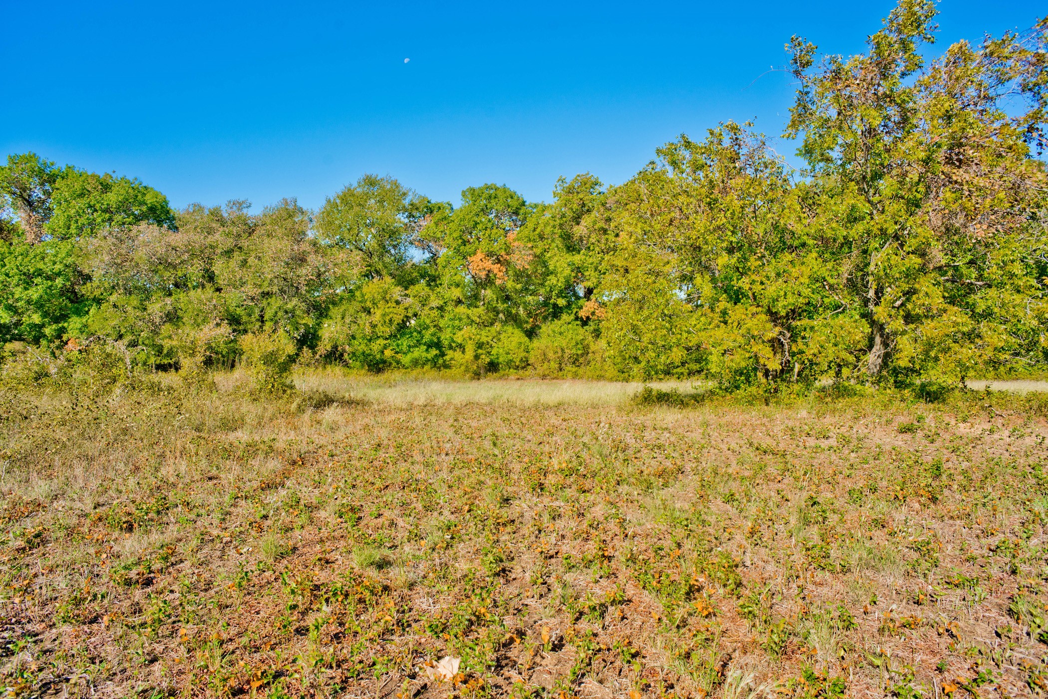 3004 Cottonfield Azle TX 76020