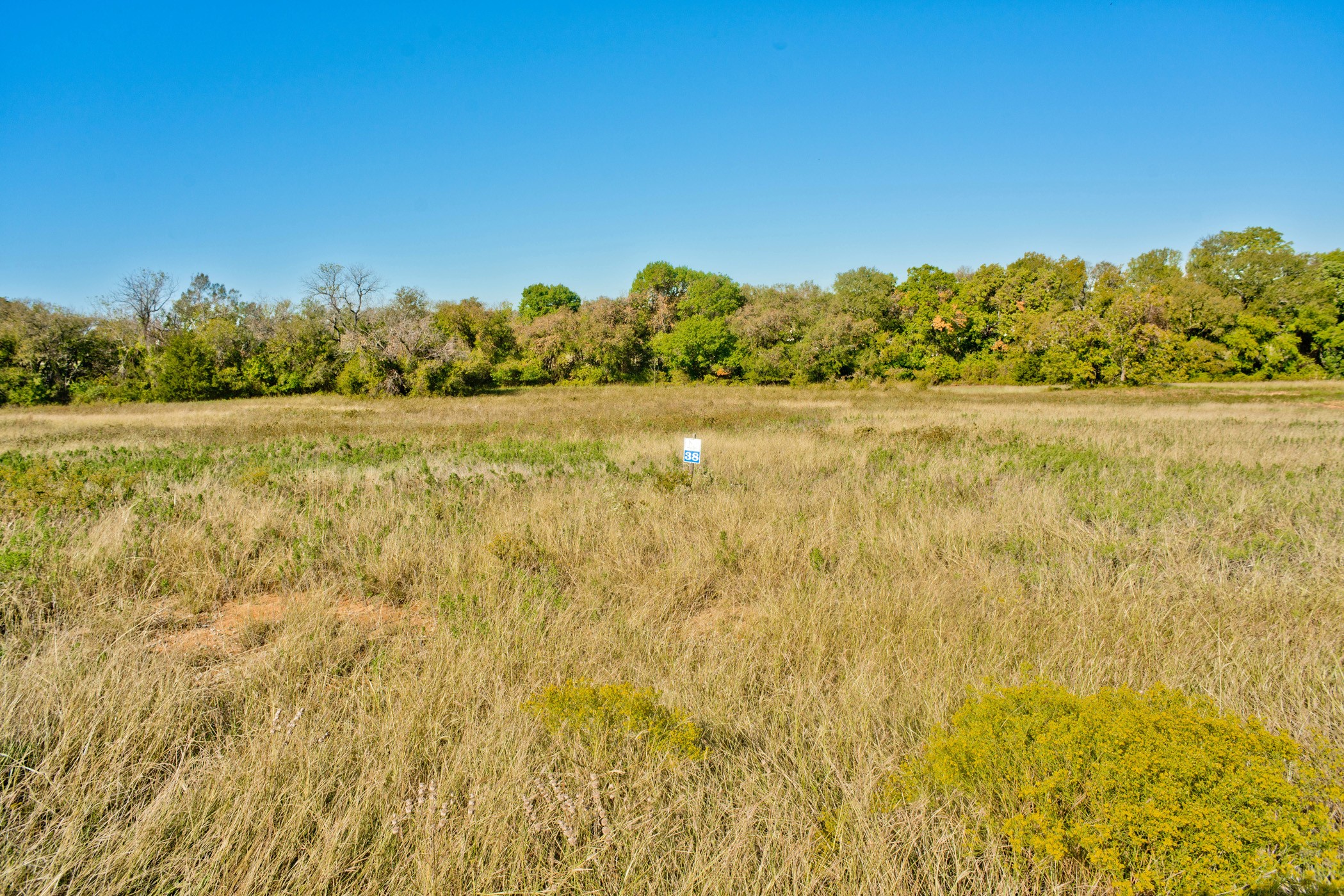 3004 Cottonfield Azle TX 76020