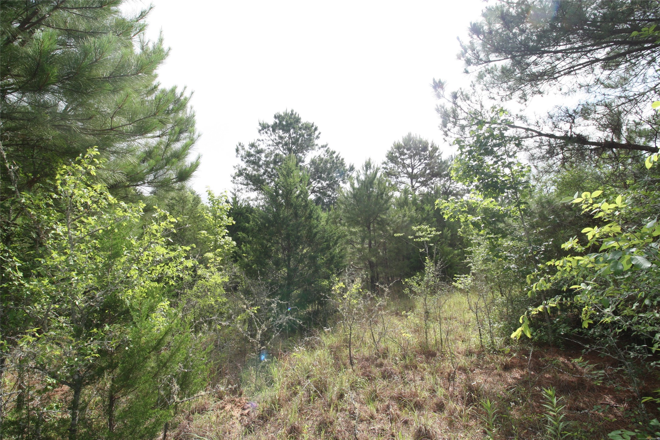 Tract 3 Tbd Vzcr 1507 Grand Saline TX 75140
