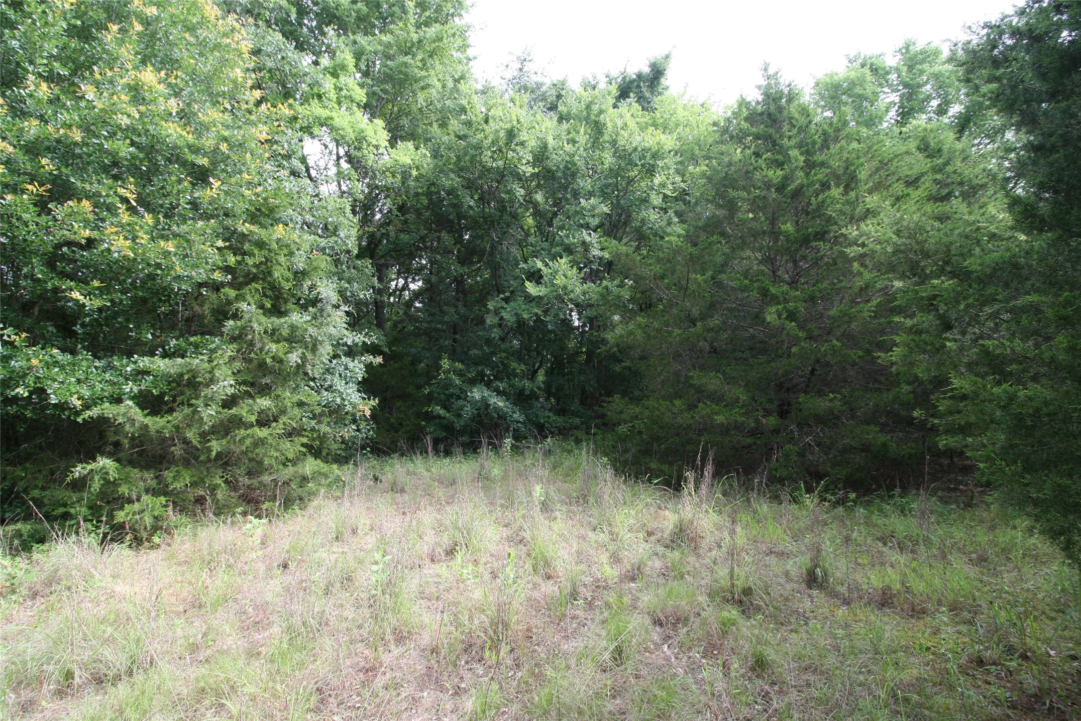 Tract 3 Tbd Vzcr 1507 Grand Saline TX 75140