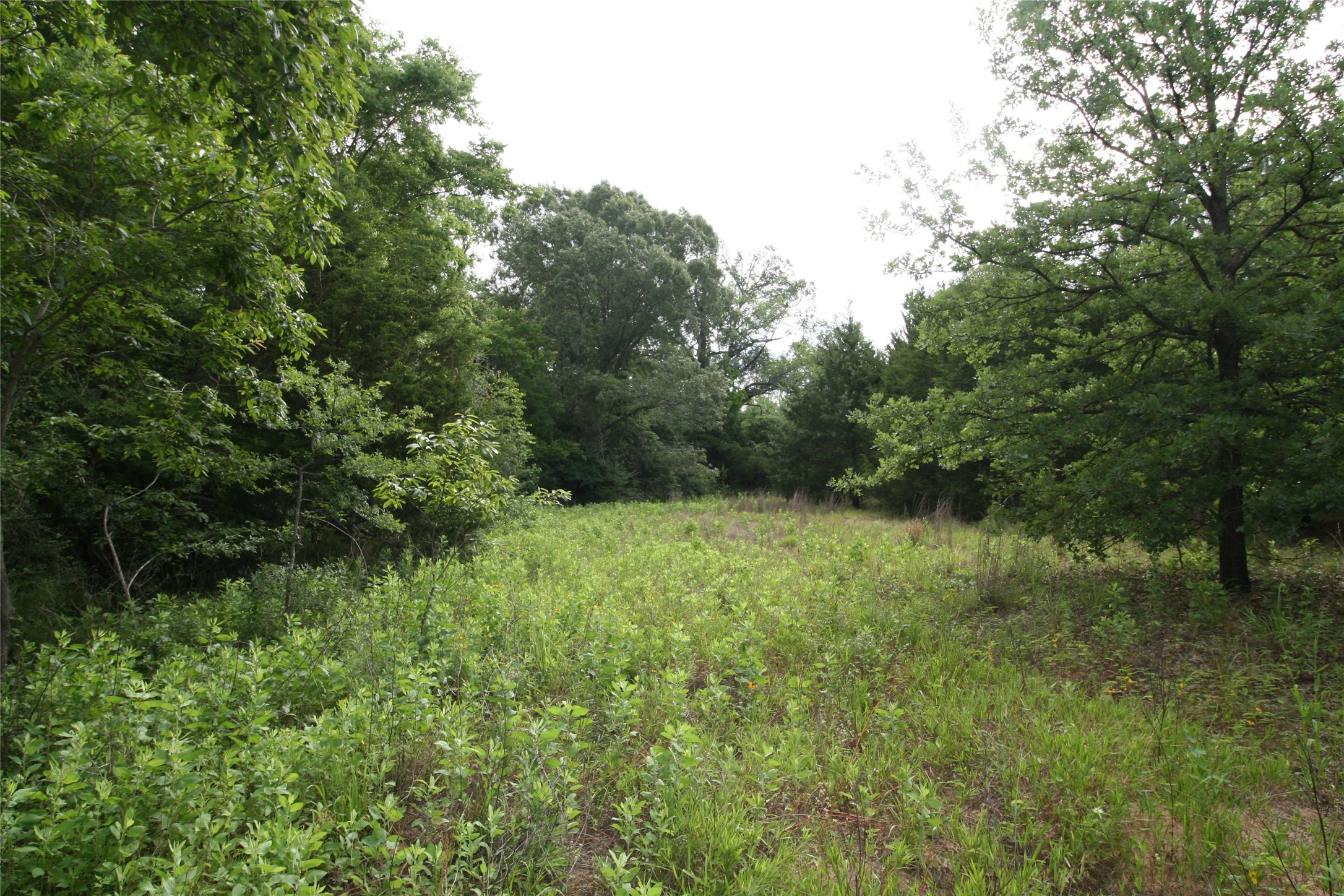 Tract 3 Tbd Vzcr 1507 Grand Saline TX 75140