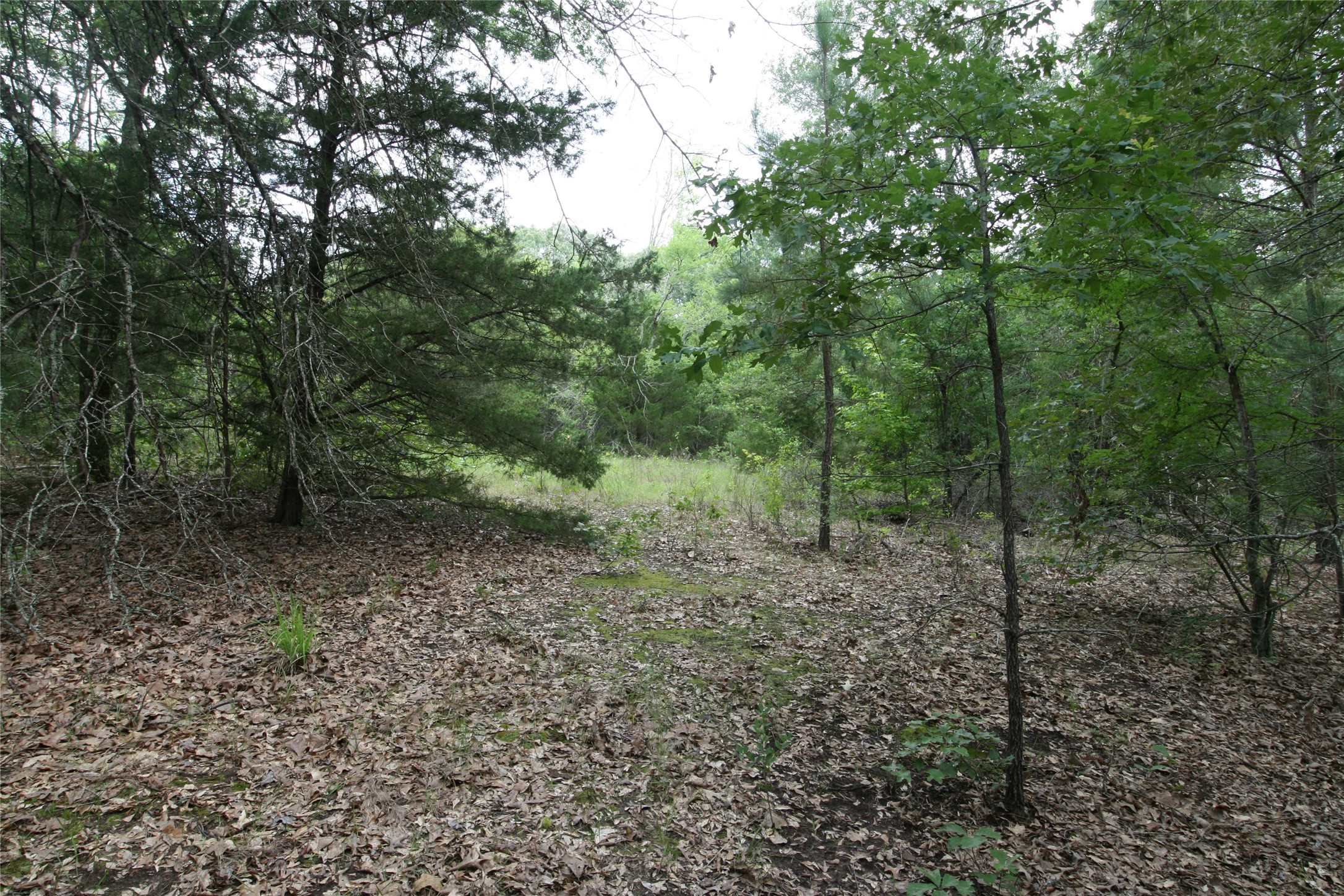 Tract 3 Tbd Vzcr 1507 Grand Saline TX 75140