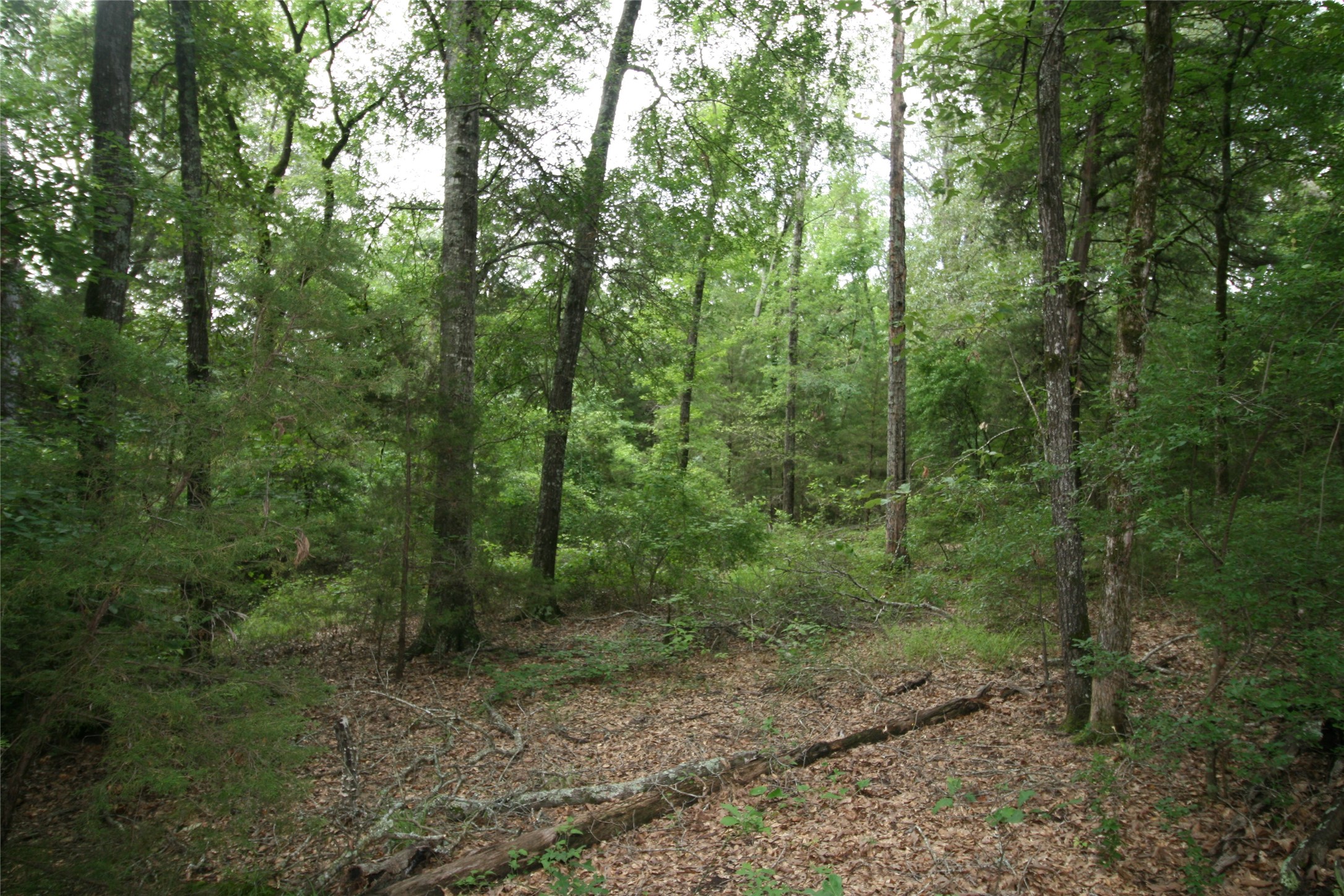 Tract 3 Tbd Vzcr 1507 Grand Saline TX 75140