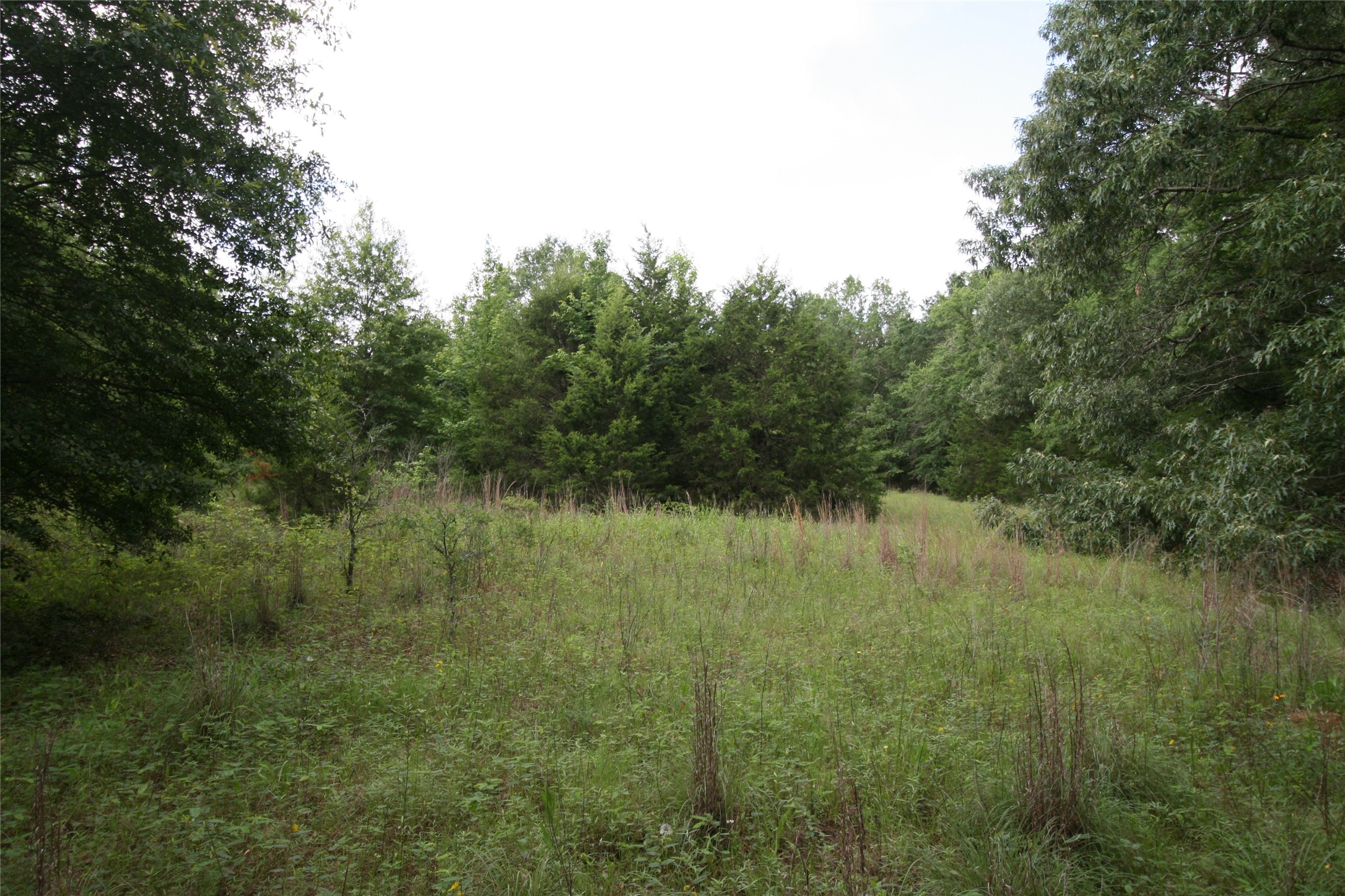 Tract 3 Tbd Vzcr 1507 Grand Saline TX 75140