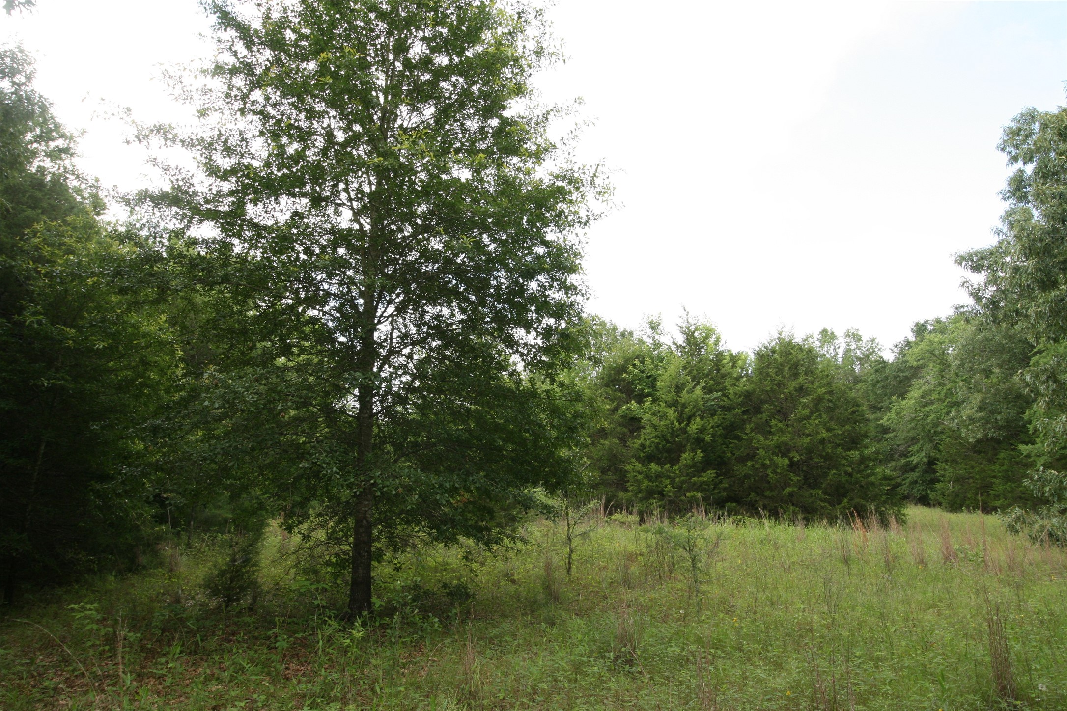 Tract 3 Tbd Vzcr 1507 Grand Saline TX 75140